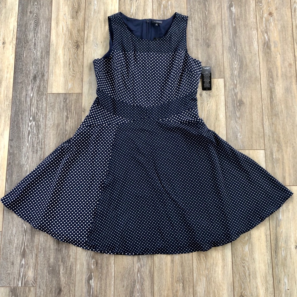 The Limited Navy Polka Dot Skater Dress